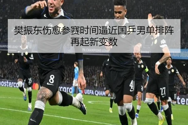 樊振东伤愈参赛时间逼近国乒男单排阵再起新变数